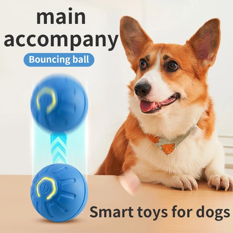 ZoomBounce™ Smart Motion Dog Ball